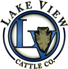 lakeview